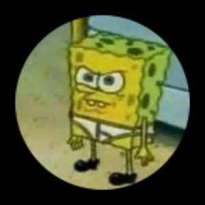 Meet your Posher, Terry